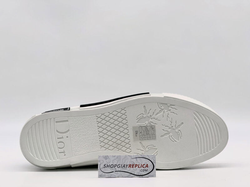Dior B23 Low Top Newspaper like auth