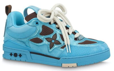 Louis Vuitton Skate Trainer Blue Brown