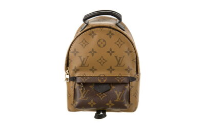 Balo Louis Vuitton 2019 Monogram Reverse Palm Springs Mini