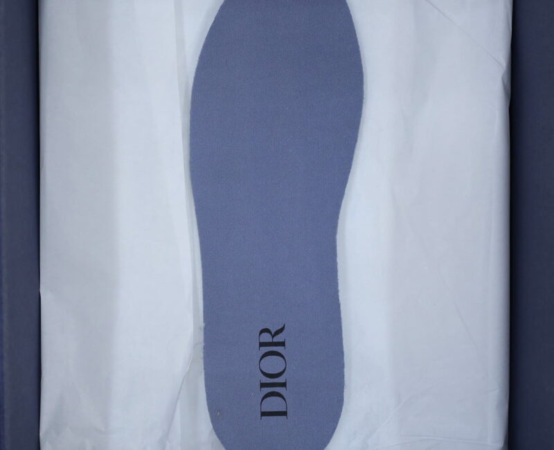 Giày Dior B27 Low University Blue White họa tiết Dior Oblique Galaxy Like Auth