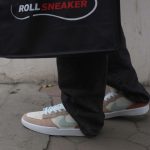 Onfeet Giày Nike SB Force 58 Have a Nike Day Like Auth